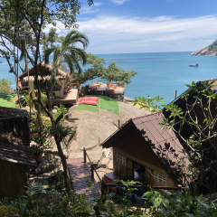 A Tropical Gem for Digital Nomads in Koh Phangan